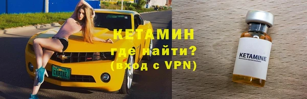 крисы Верея