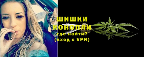 крисы Верея