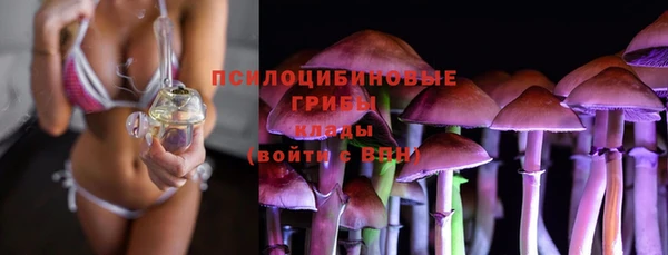 крисы Верея